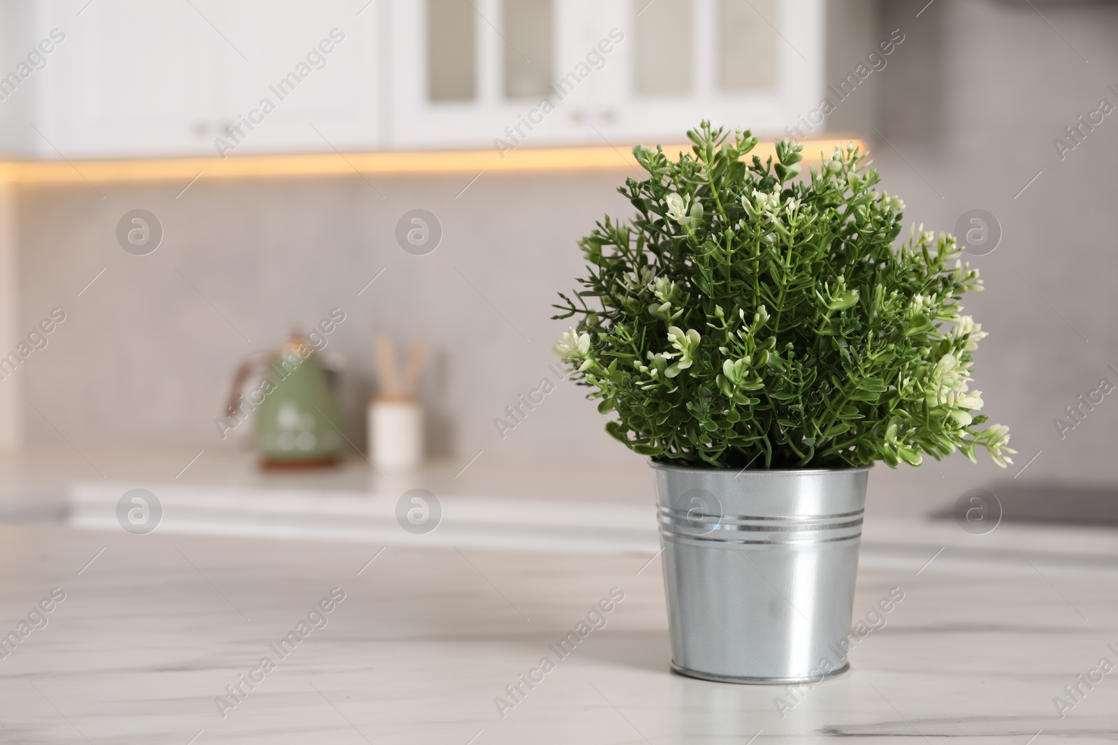 Photo of Artificial potted herb on white marble table in kitchen, space for text. Home decor