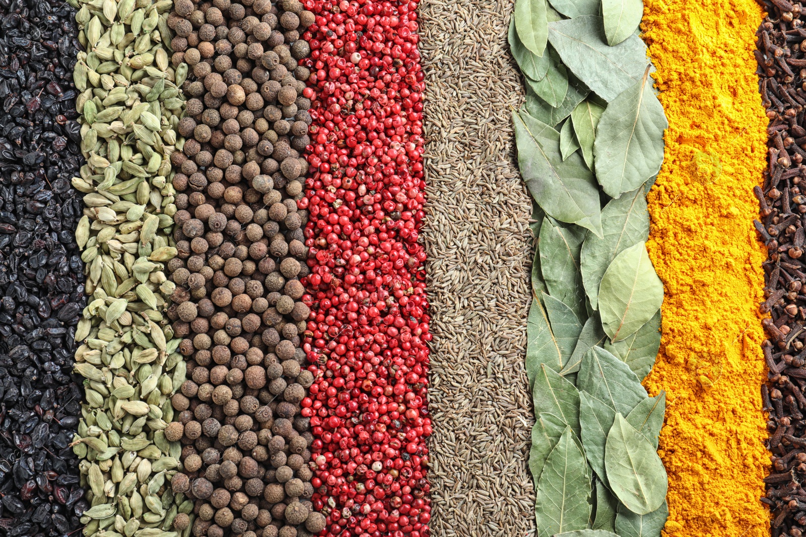 Photo of Set of different spices as background, top view