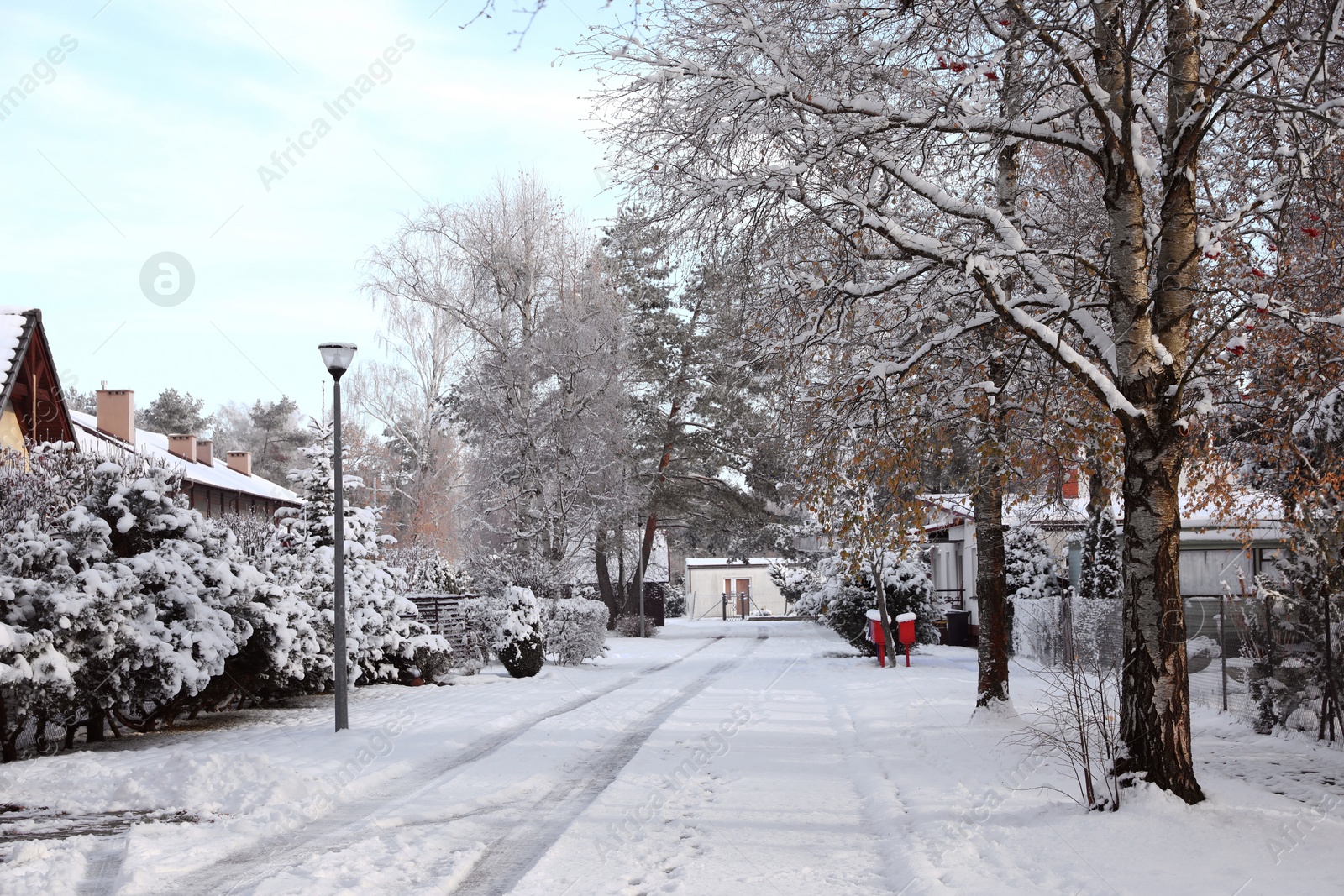 Photo of Beautiful view of city street with cottages and trees on winter day