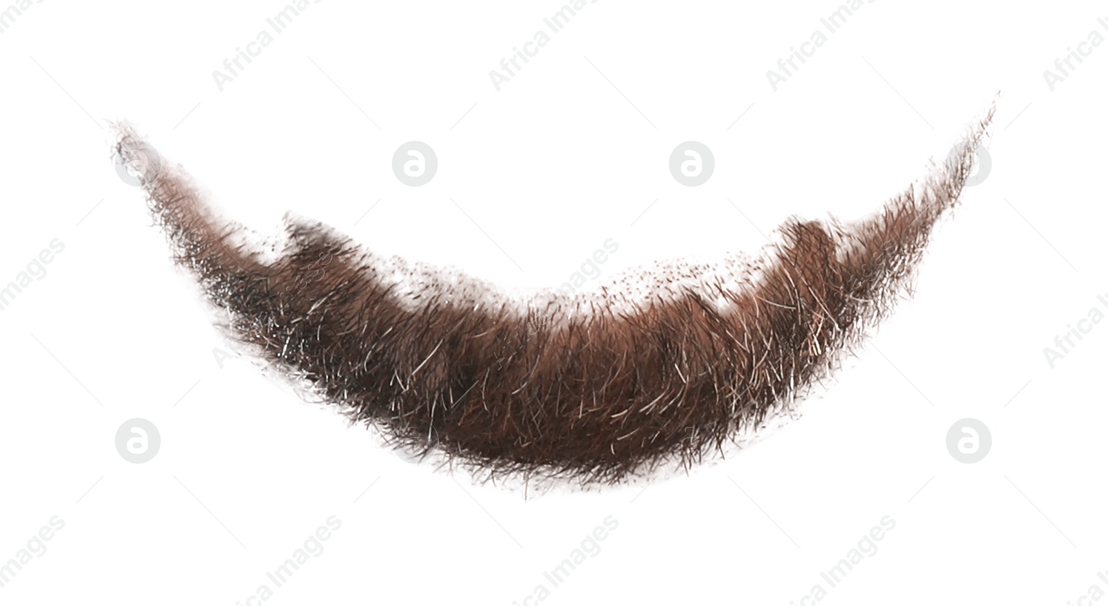 Image of Stylish beard isolated on white. Facial hair