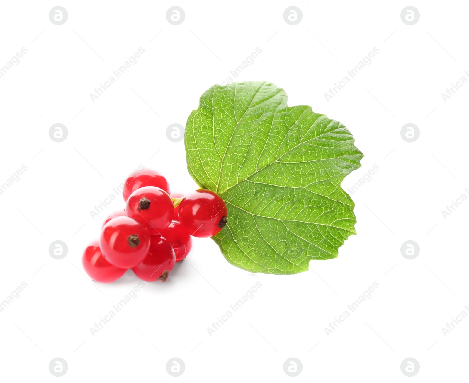 Photo of Delicious ripe red currants isolated on white