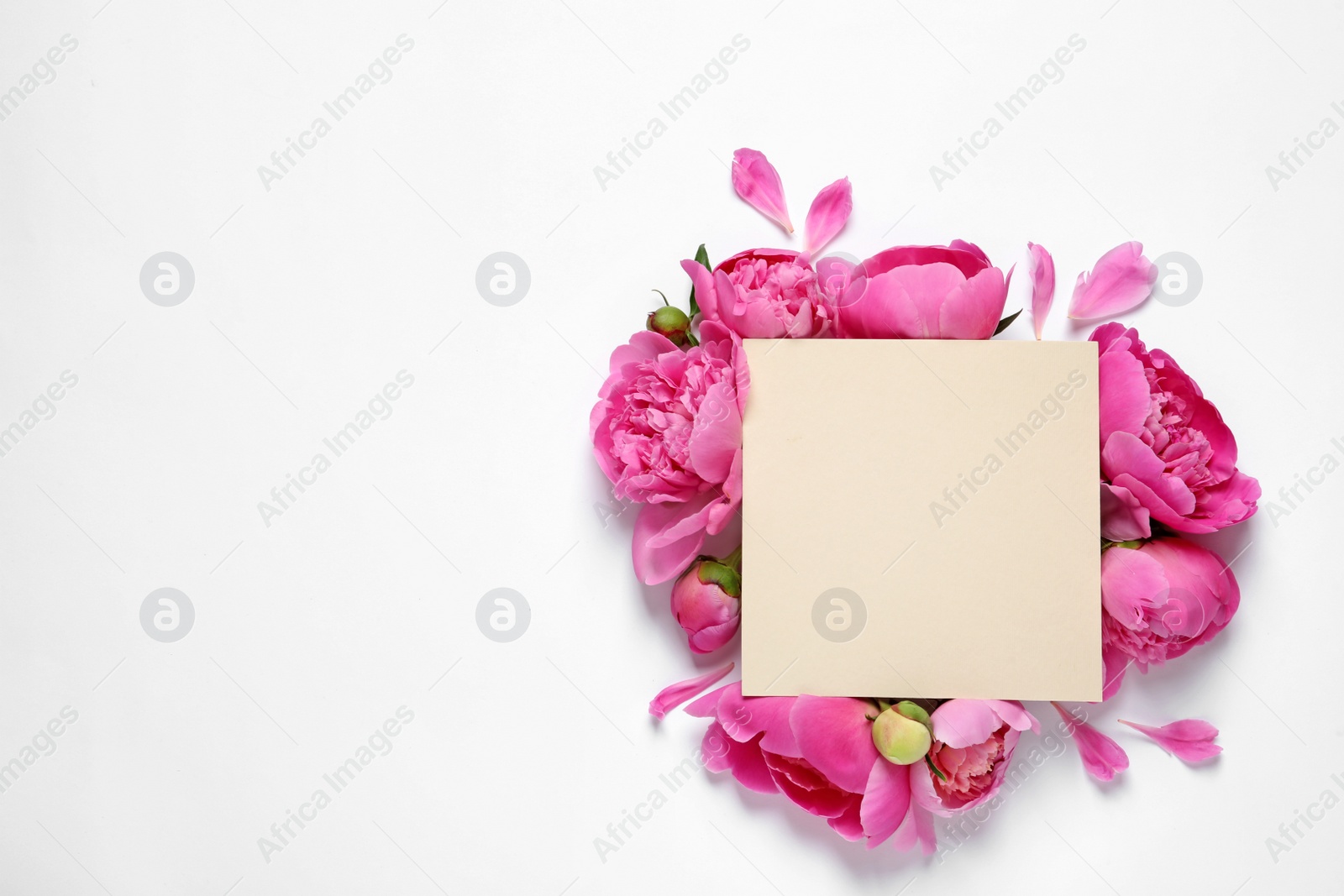 Photo of Fresh peonies and empty card on white background, top view with space for text