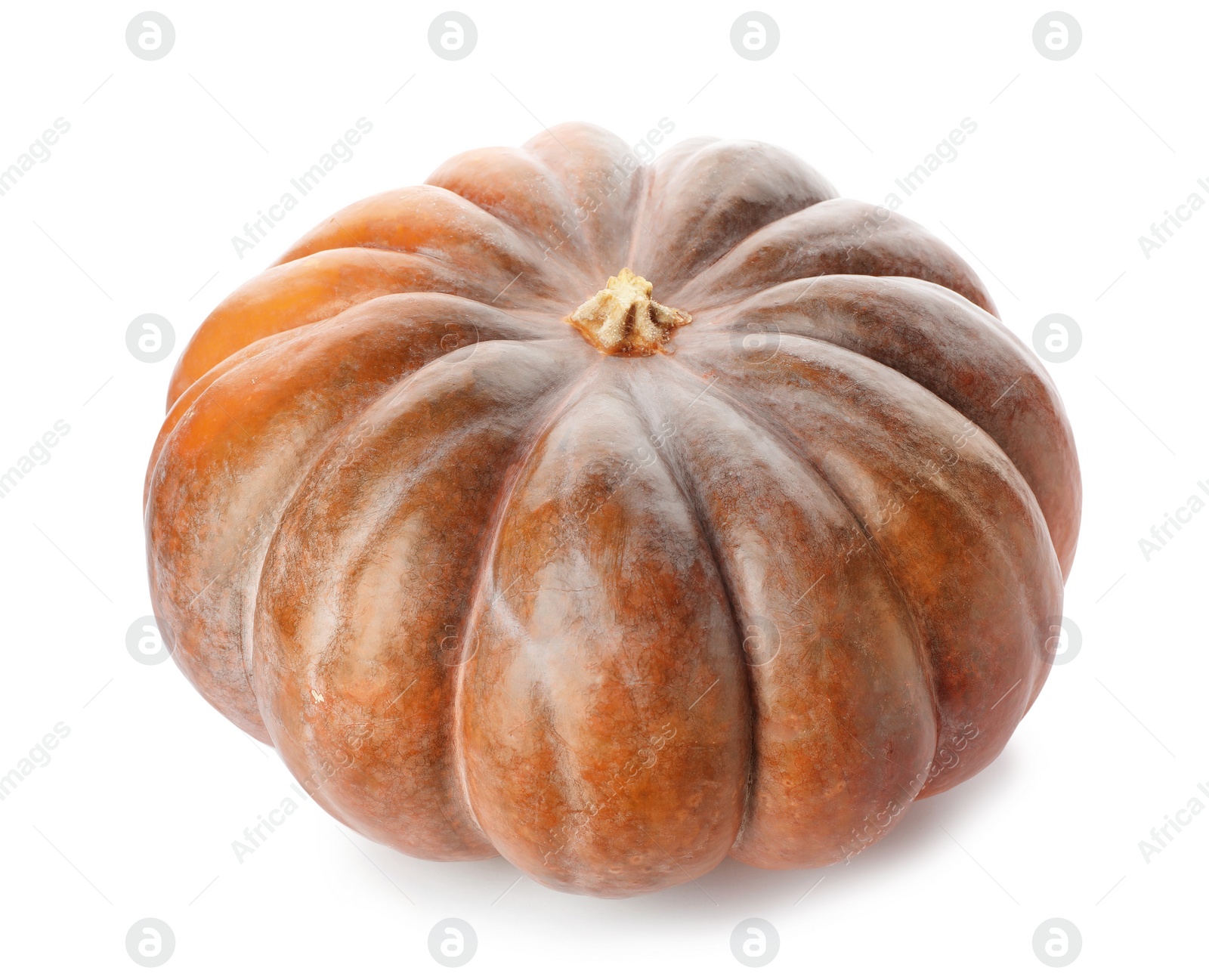 Photo of Fresh raw pumpkin isolated on white. Organic plant