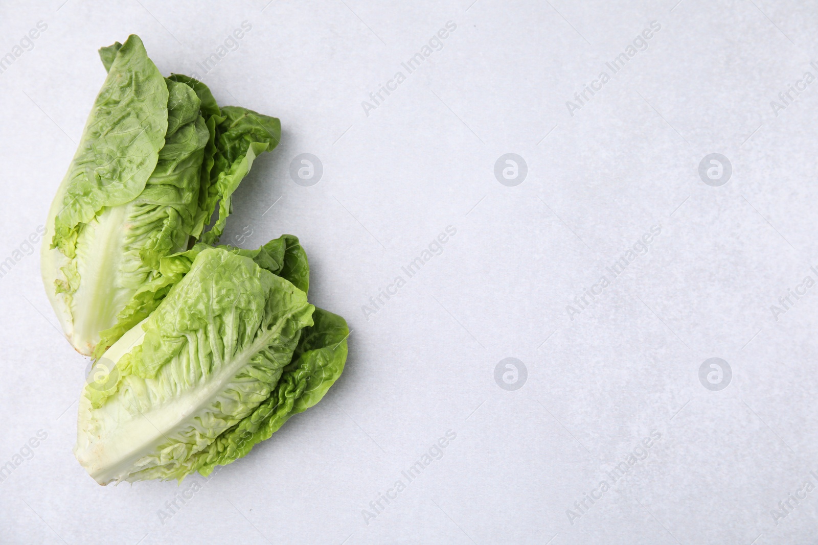 Photo of Fresh green romaine lettuces on light grey table, flat lay. Space for text