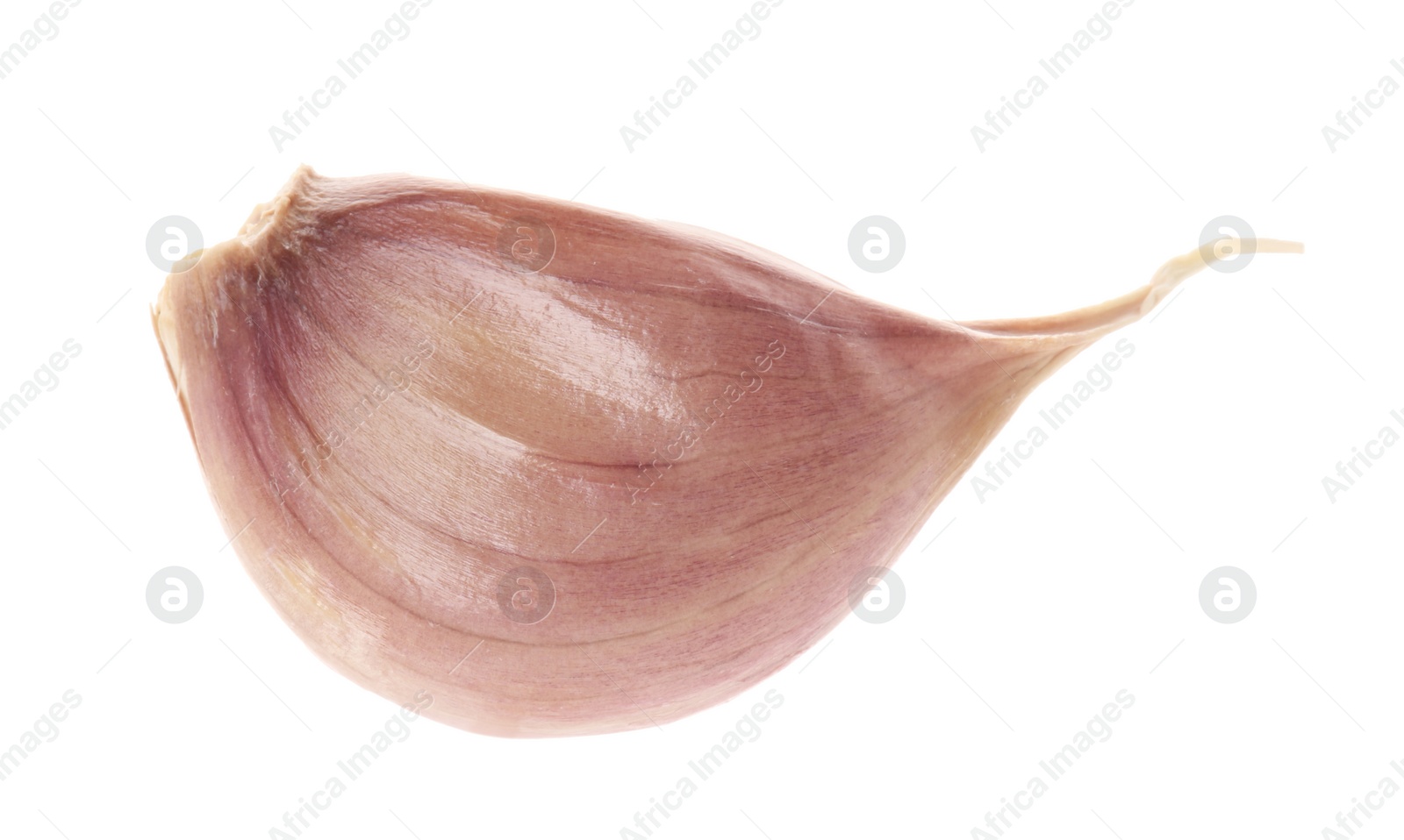 Photo of One unpeeled clove of garlic isolated on white