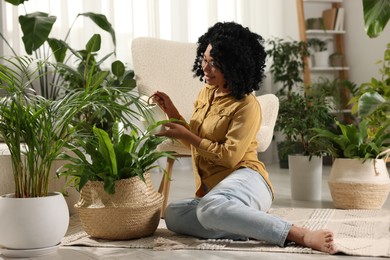 Woman watering beautiful potted houseplant at home