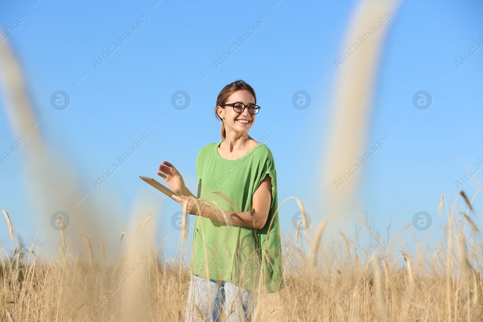 Photo of Agronomist with tablet in wheat field. Cereal grain crop