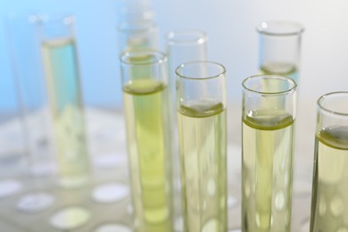 Photo of Test tubes with urine samples for analysis in holder on light blue background, closeup