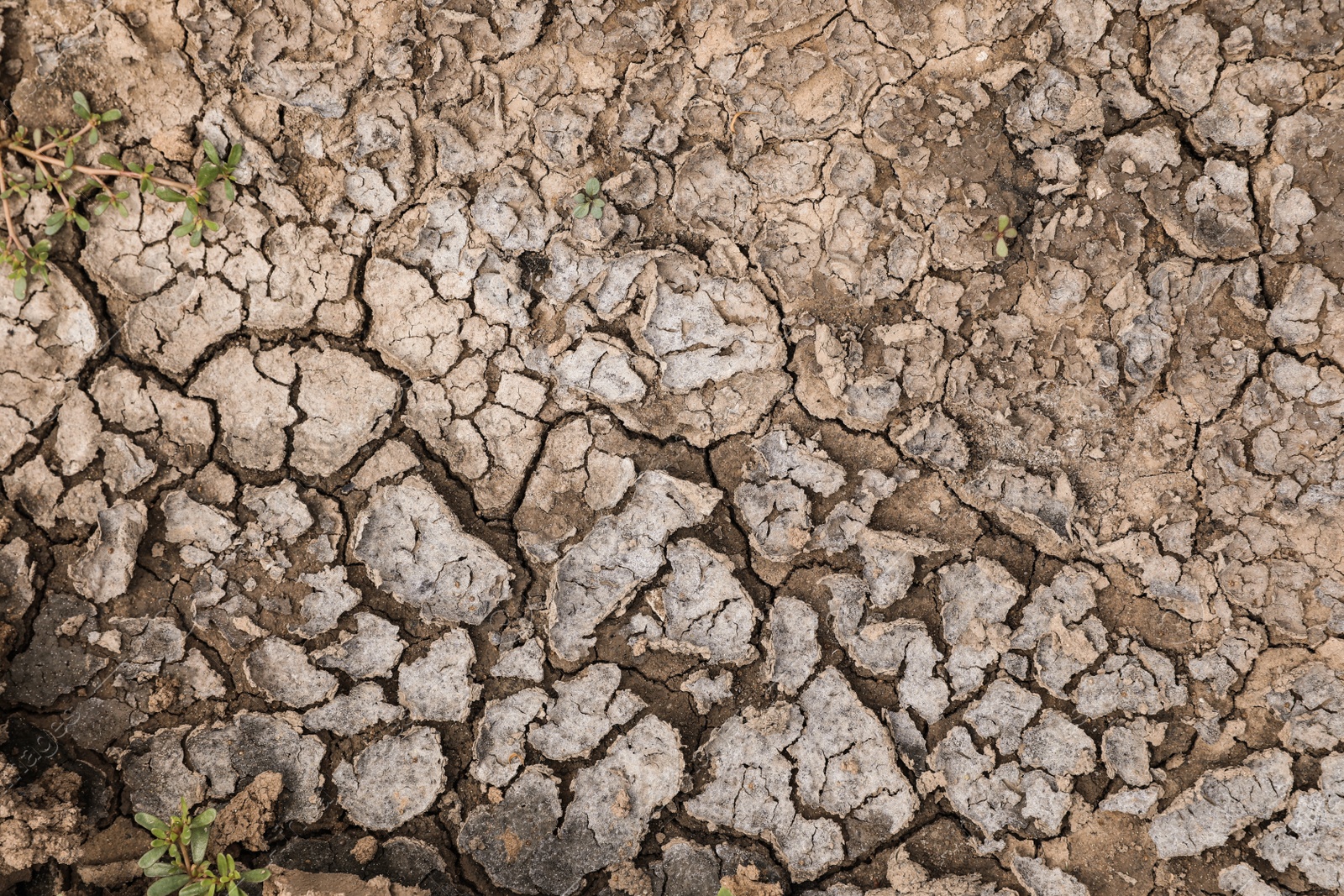 Photo of Dry textured ground surface as background, top view. Thirsty soil