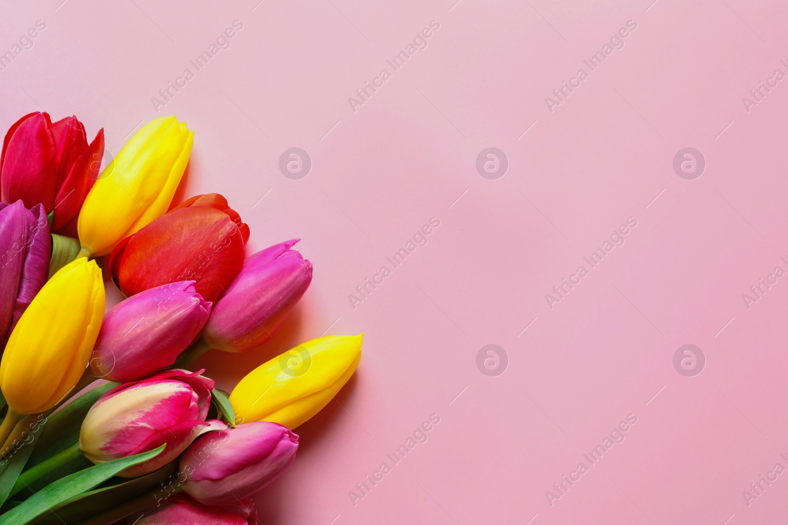 Photo of Beautiful spring tulip flowers on color background, top view. Space for text