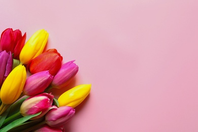 Photo of Beautiful spring tulip flowers on color background, top view. Space for text