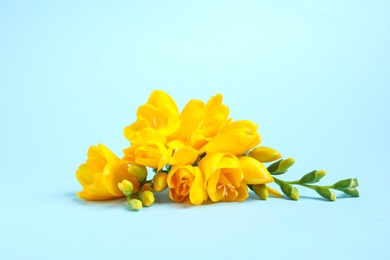 Photo of Beautiful blooming yellow freesias on light blue background