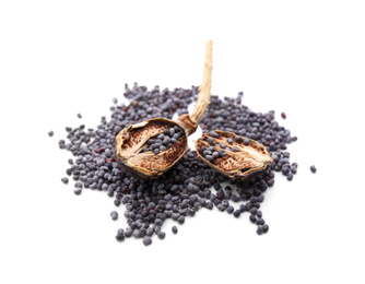 Dry poppy head with seeds on white background