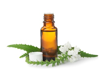 Bottle of essential oil and flower on white background