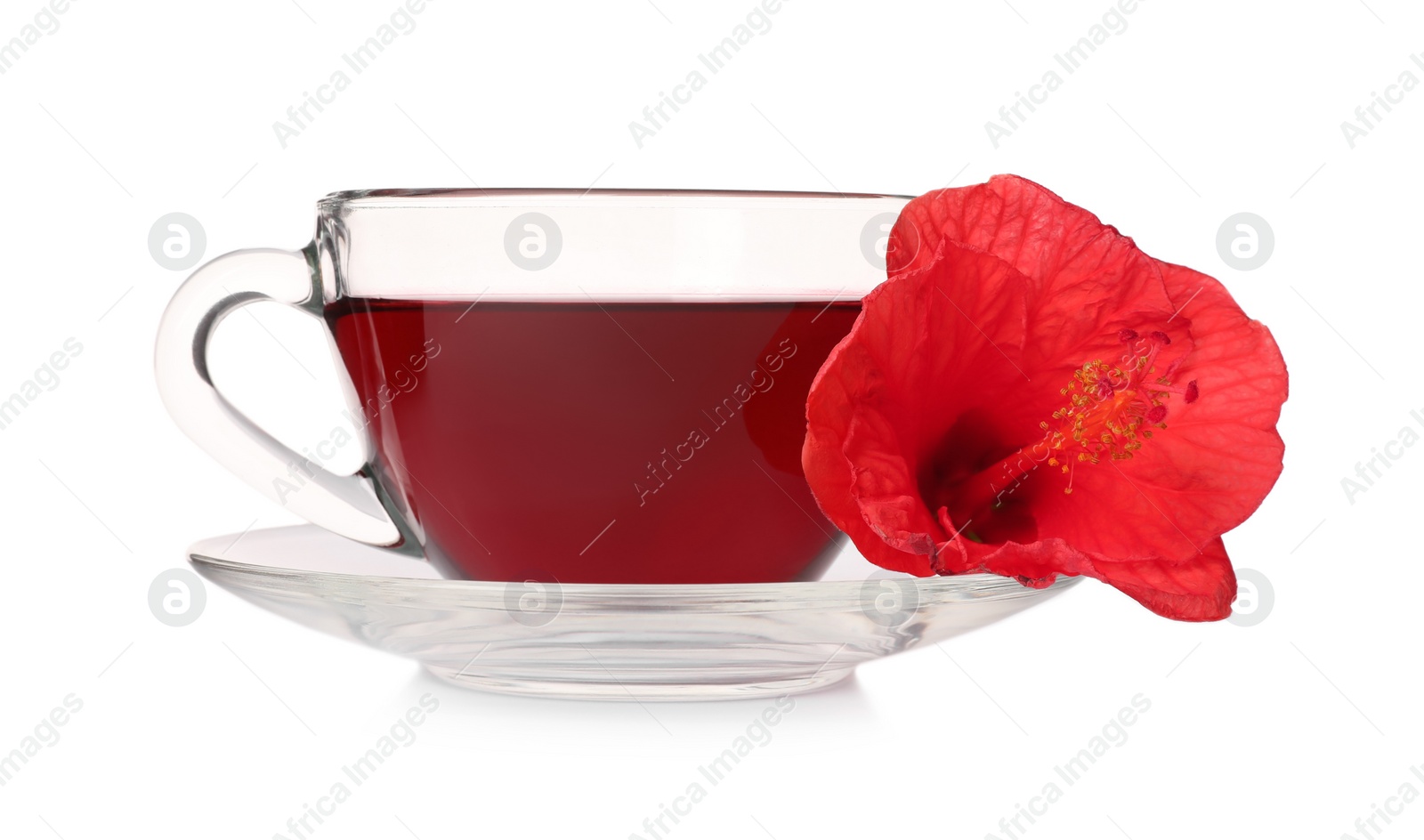 Photo of Delicious hibiscus tea and beautiful flower on white background