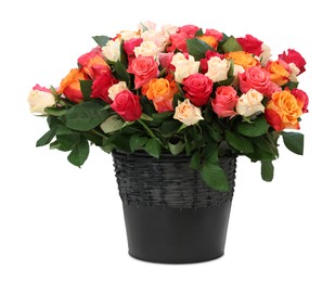 Bouquet of beautiful roses isolated on white