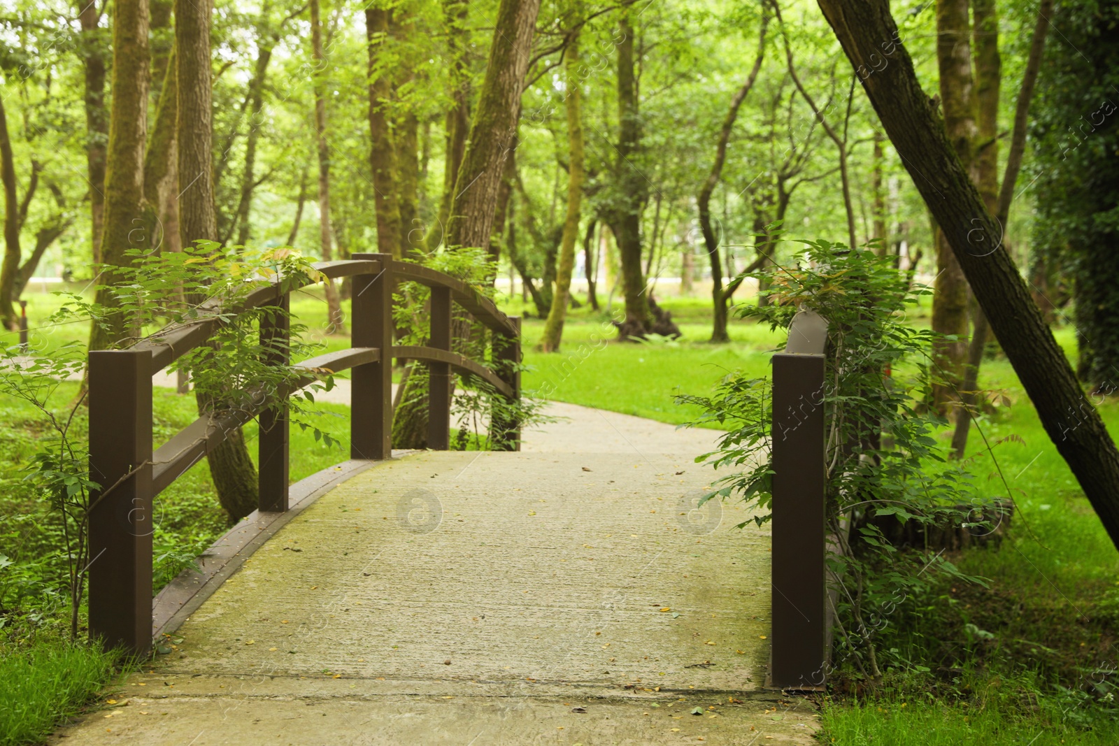 Photo of Picturesque view of tranquil park with green plants and bridge