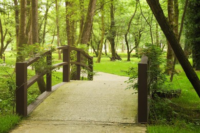 Picturesque view of tranquil park with green plants and bridge