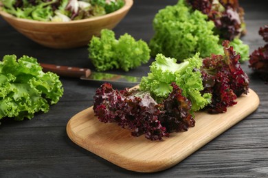 Photo of Different sorts of lettuce on black wooden table