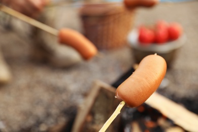 Frying sausage on bonfire outdoors. Camping season