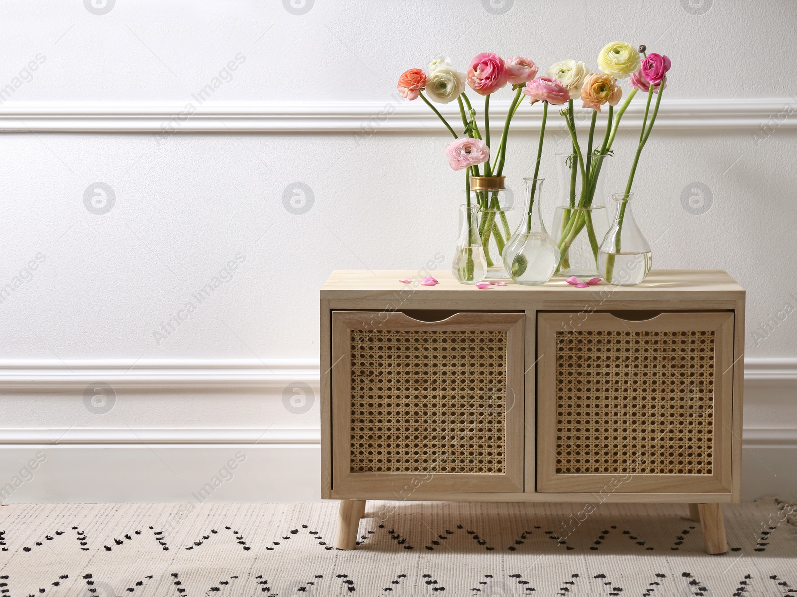 Photo of Beautiful ranunculus flowers on wooden commode near wall in room. Space for text