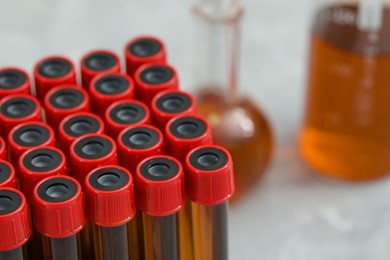 Photo of Test tubes with brown liquid, closeup. Space for text