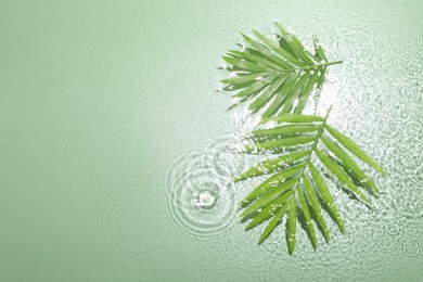 Photo of Palm leaves in water on light green background, flat lay. Space for text