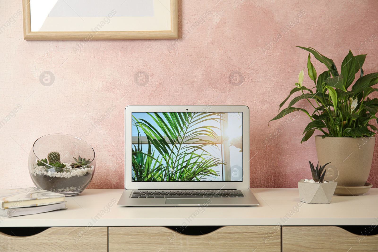 Photo of Houseplants and laptop on table in office interior