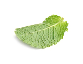 Fresh green mint leaf on white background