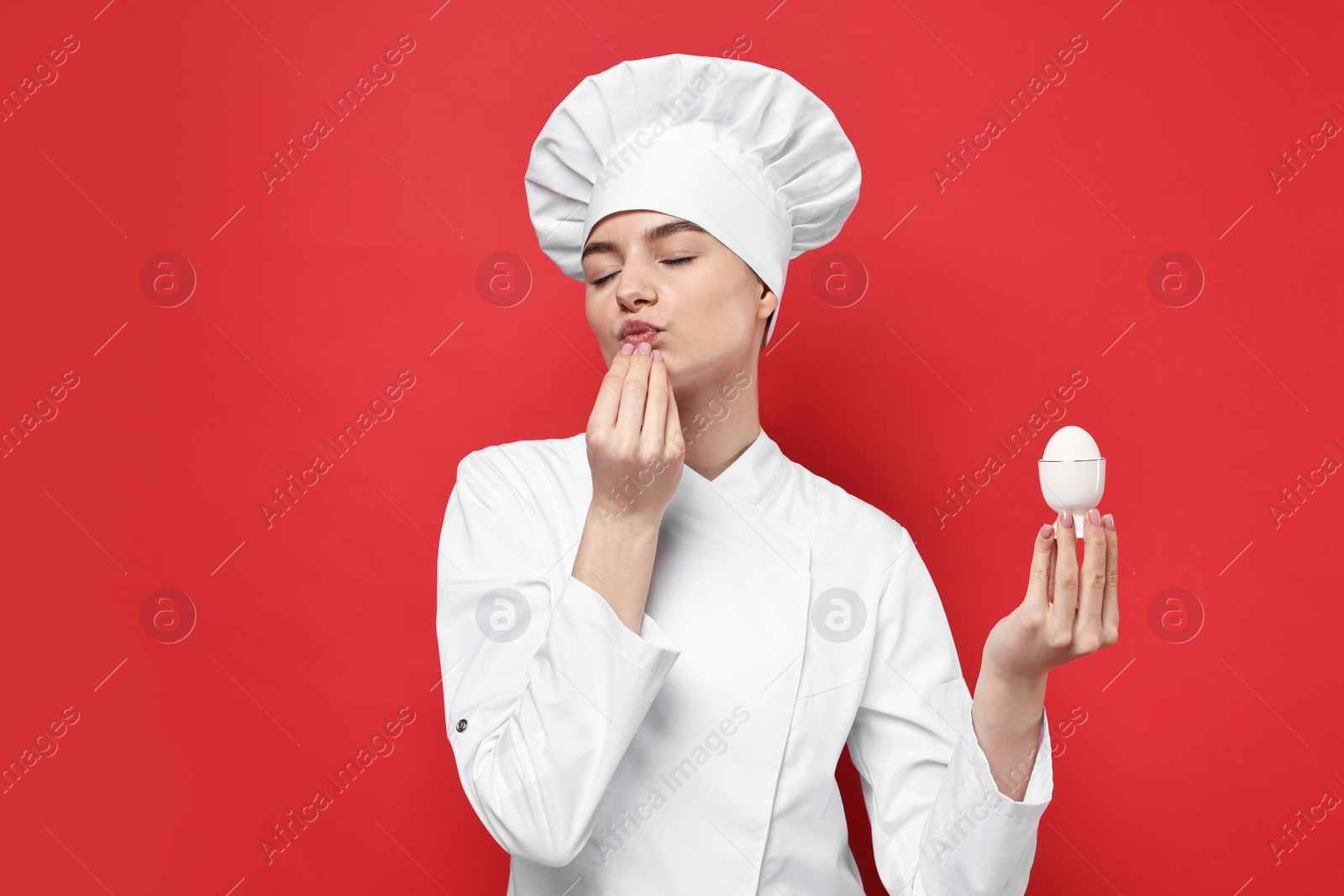 Photo of Professional chef holding egg and showing perfect sign on red background
