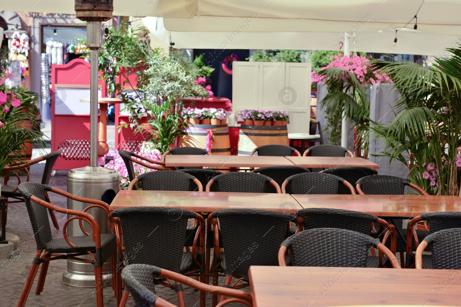 Photo of Cafe with outdoor terrace, plants and beautiful furniture