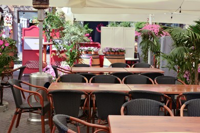 Cafe with outdoor terrace, plants and beautiful furniture