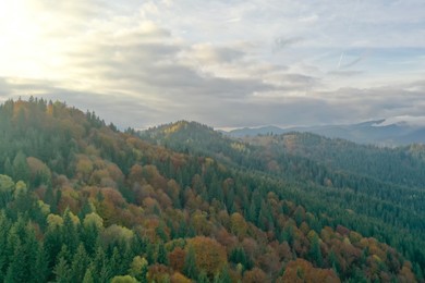 Photo of Aerial view of beautiful mountain landscape with forest at sunrise