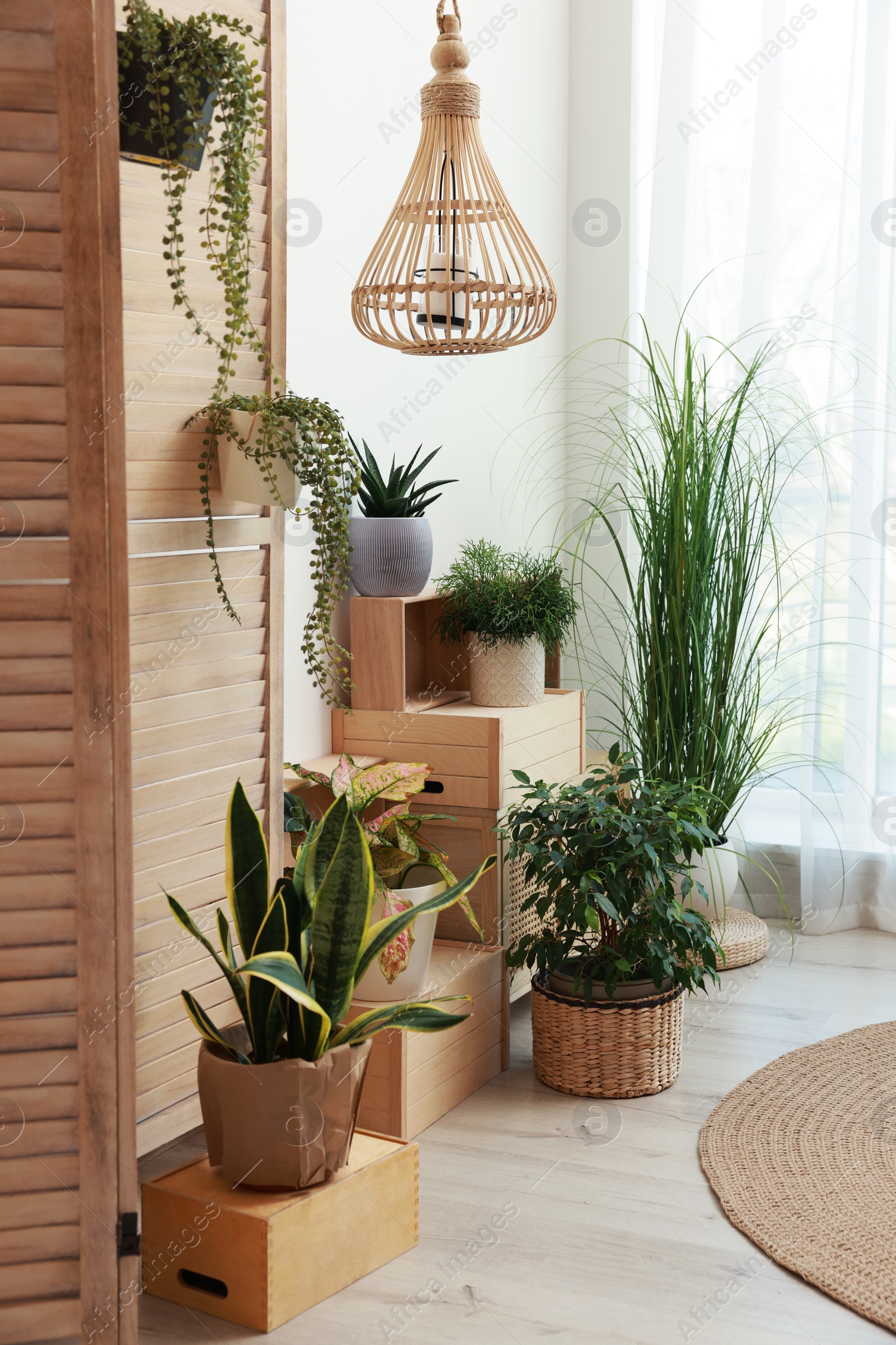 Photo of Cozy room interior with beautiful green plants and stylish furniture