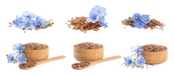 Set with flax seeds and flowers on white background. Banner design