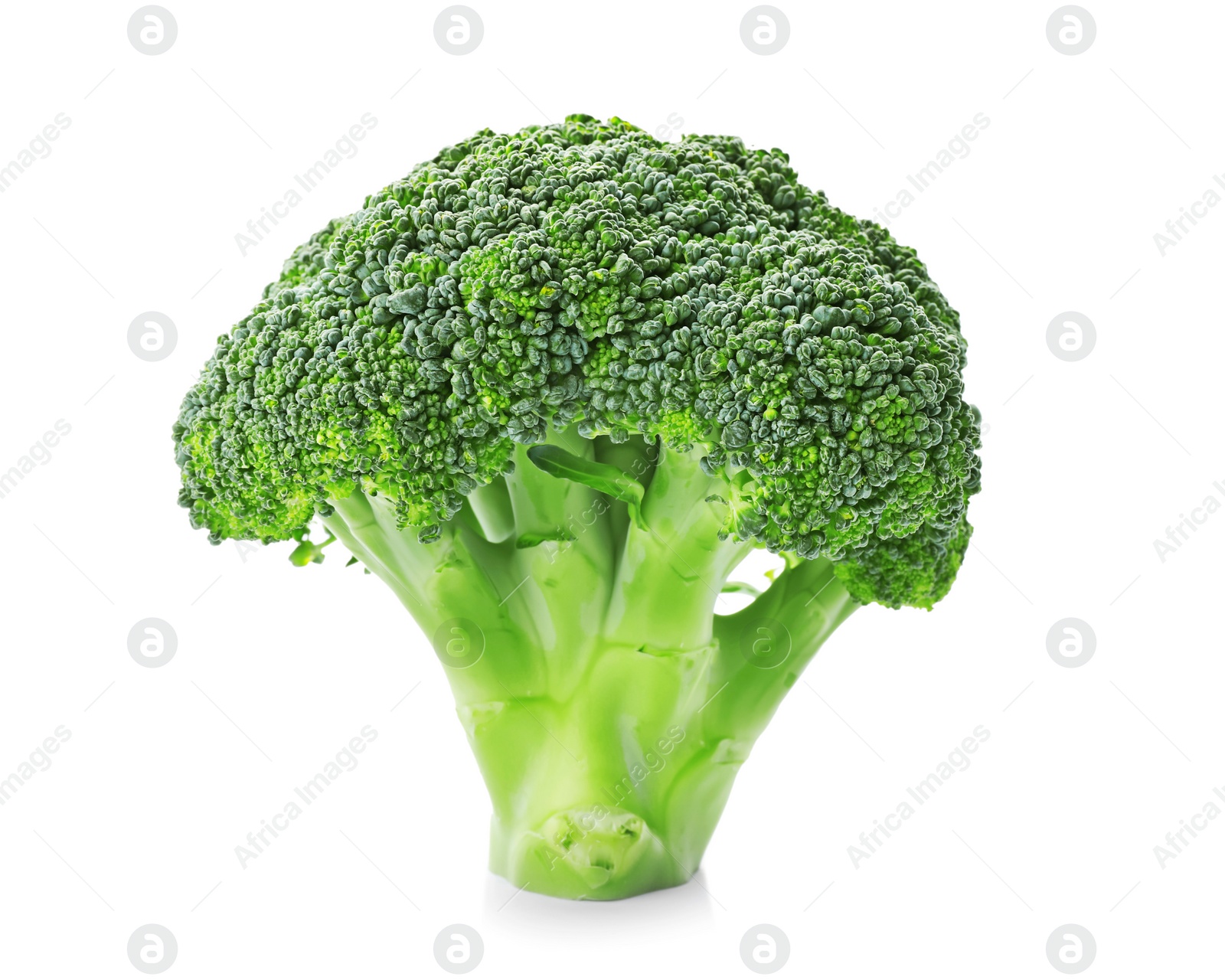 Photo of Fresh green broccoli on white background. Organic food