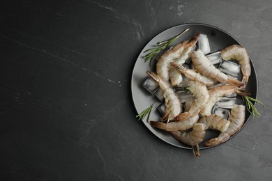 Photo of Fresh raw shrimps with rosemary and ice cubes on black table, top view. Space for text
