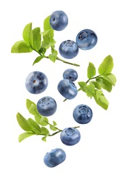 Image of Fresh ripe bilberries and green leaves falling on white background