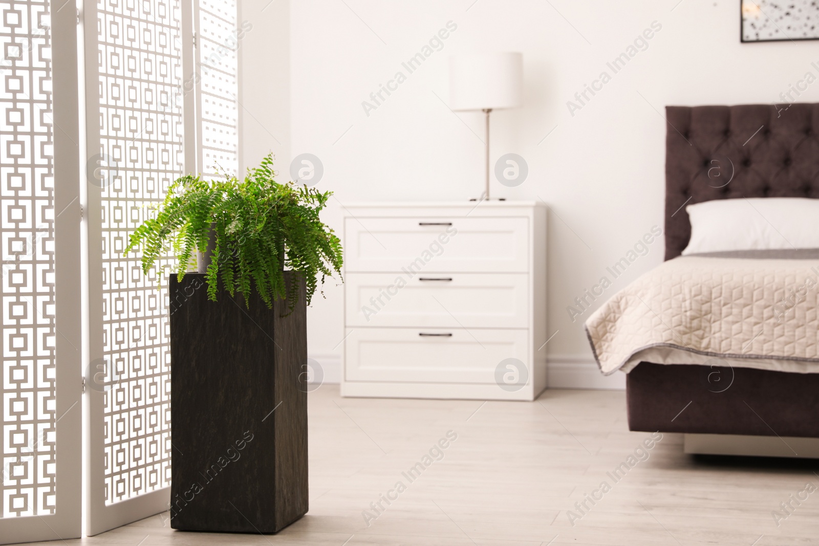 Photo of Large pot with plant in bedroom. Element of interior design