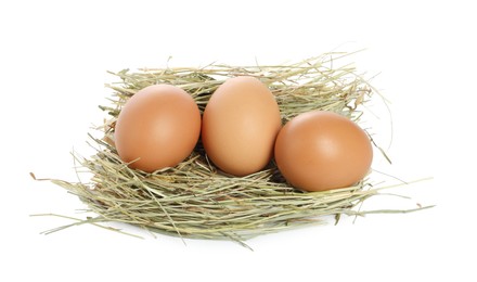 Photo of Chicken eggs in nest isolated on white