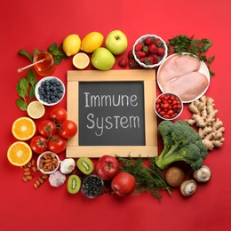 Set of natural products and chalkboard with text Immune System on red background, flat lay