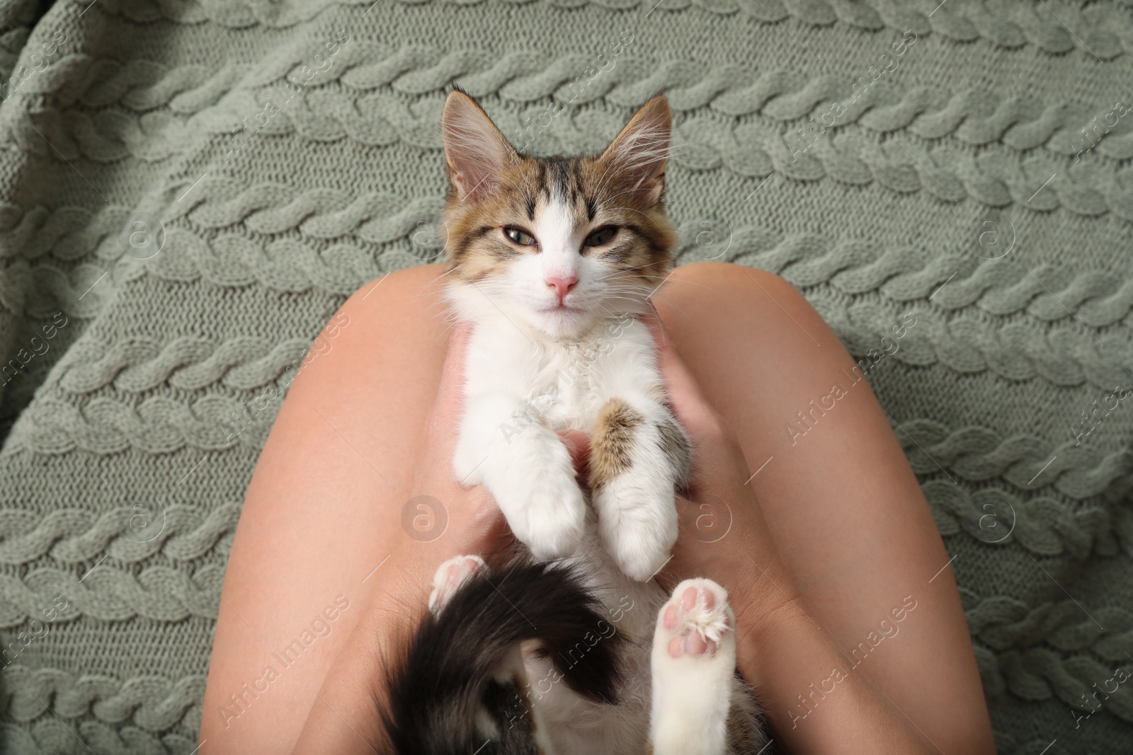 Photo of Woman with cute kitten on knitted plaid, top view