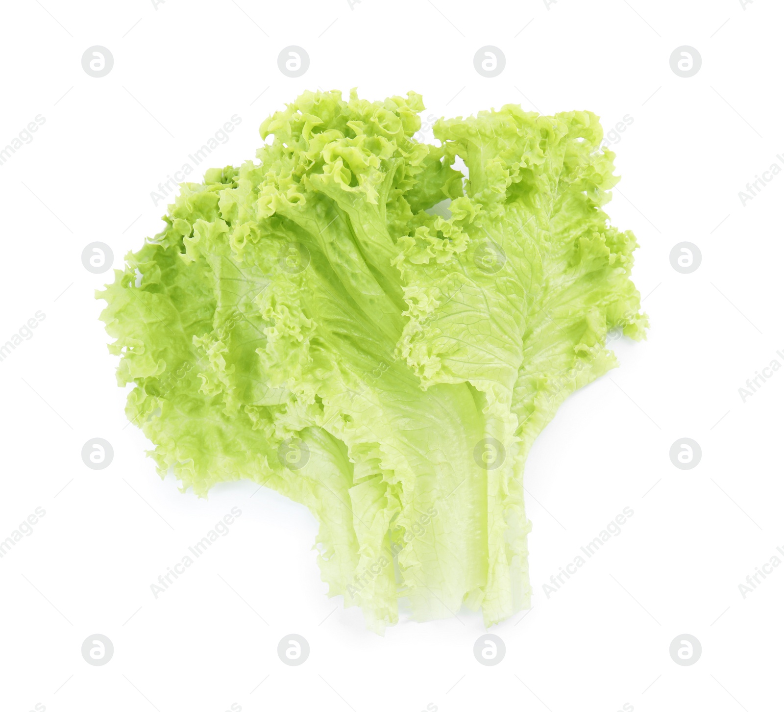 Photo of Leaves of fresh lettuce on white background. Salad greens