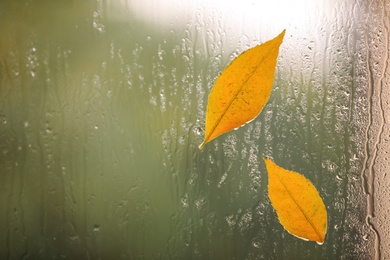 Photo of Autumn leaves on glass, space for text. Rainy weather