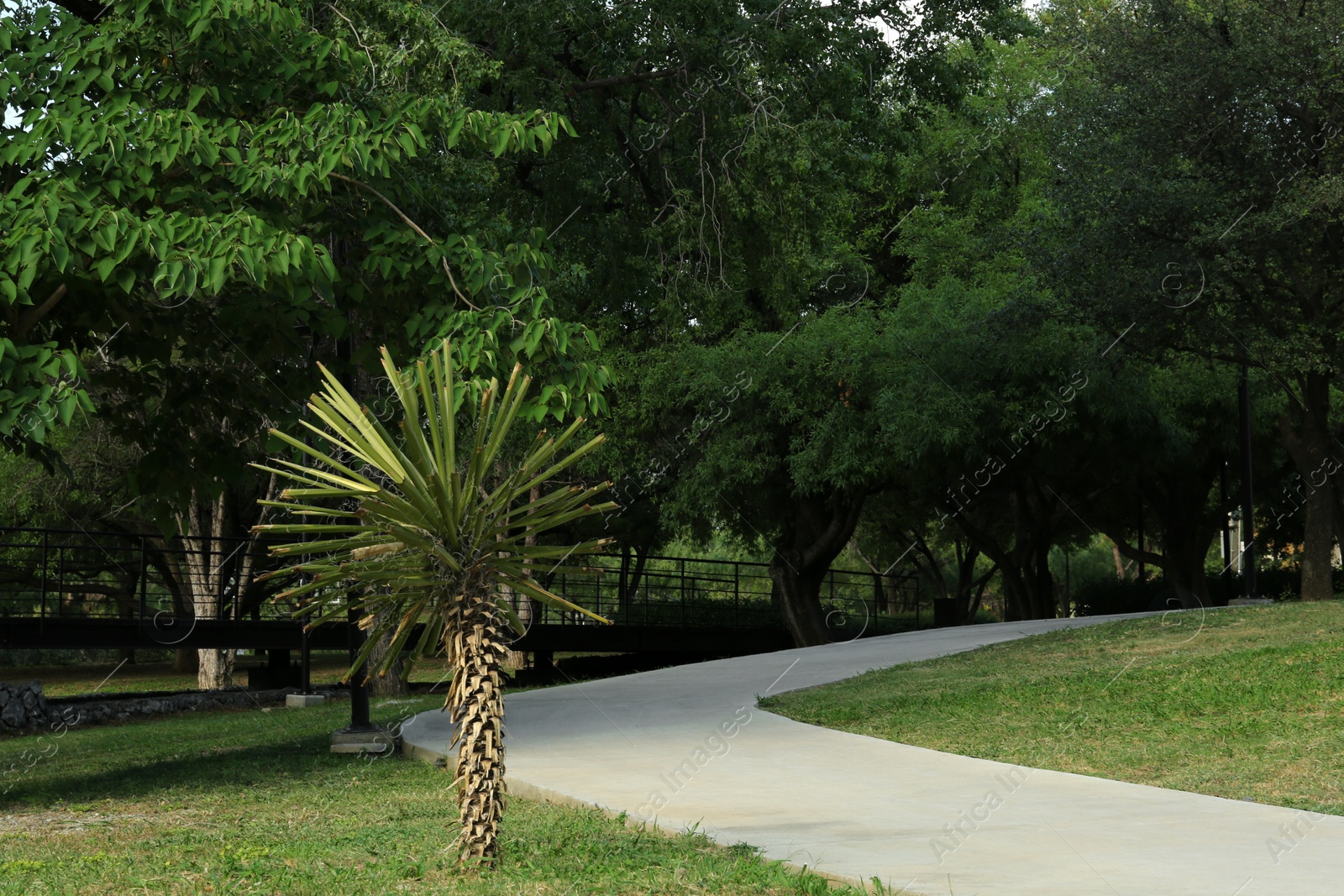 Photo of Beautiful view of green park with pathway