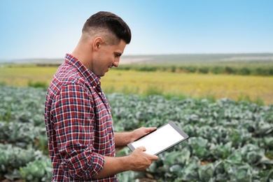 Photo of Man using tablet in field. Agriculture technology