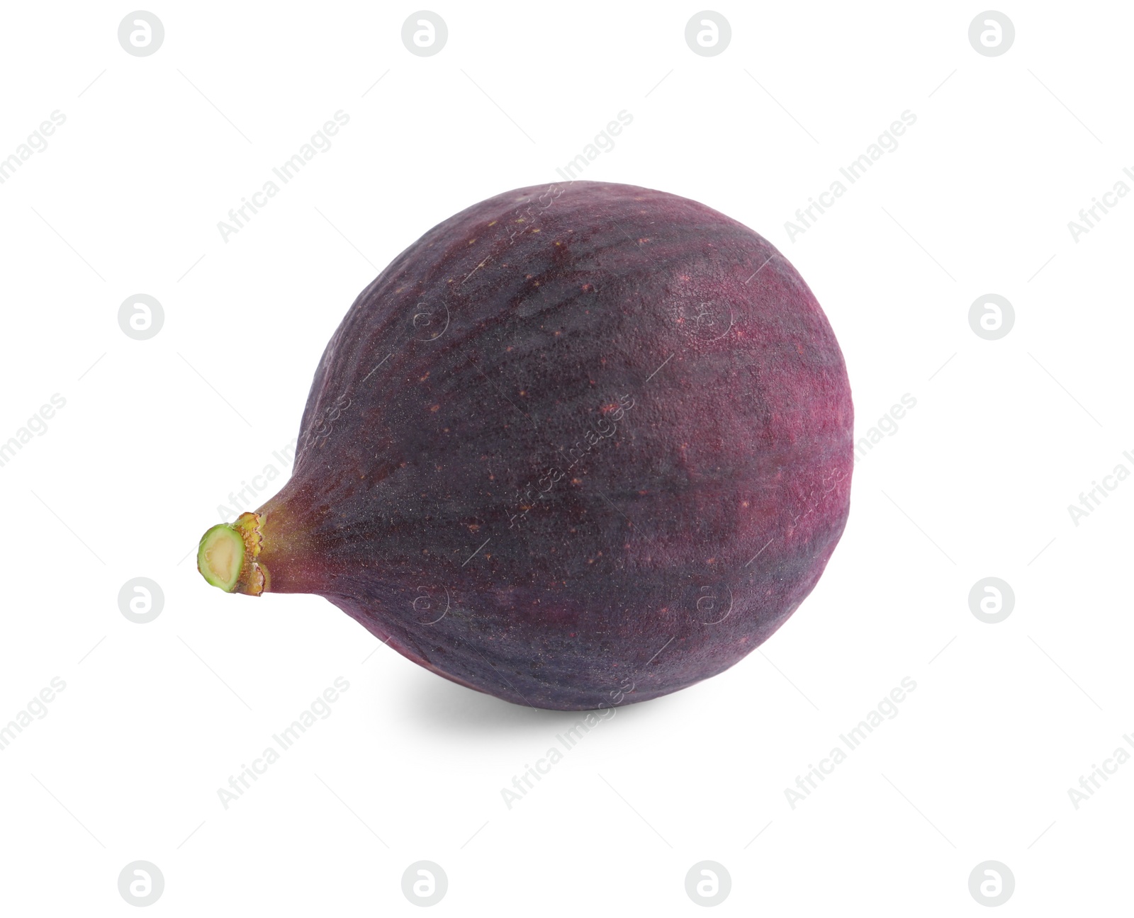 Photo of Whole ripe fresh fig isolated on white