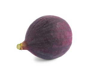 Photo of Whole ripe fresh fig isolated on white