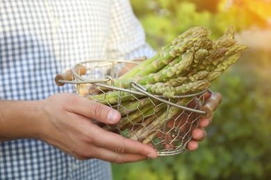 Man holding metal basket with fresh raw asparagus outdoors, closeup