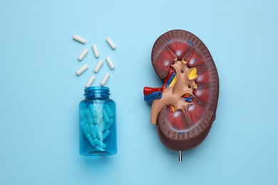 Kidney model and jar with pills on light blue background, flat lay